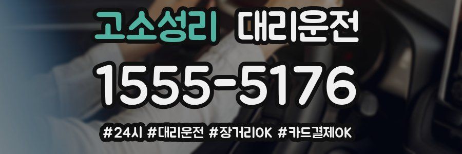 고소성리 대리운전