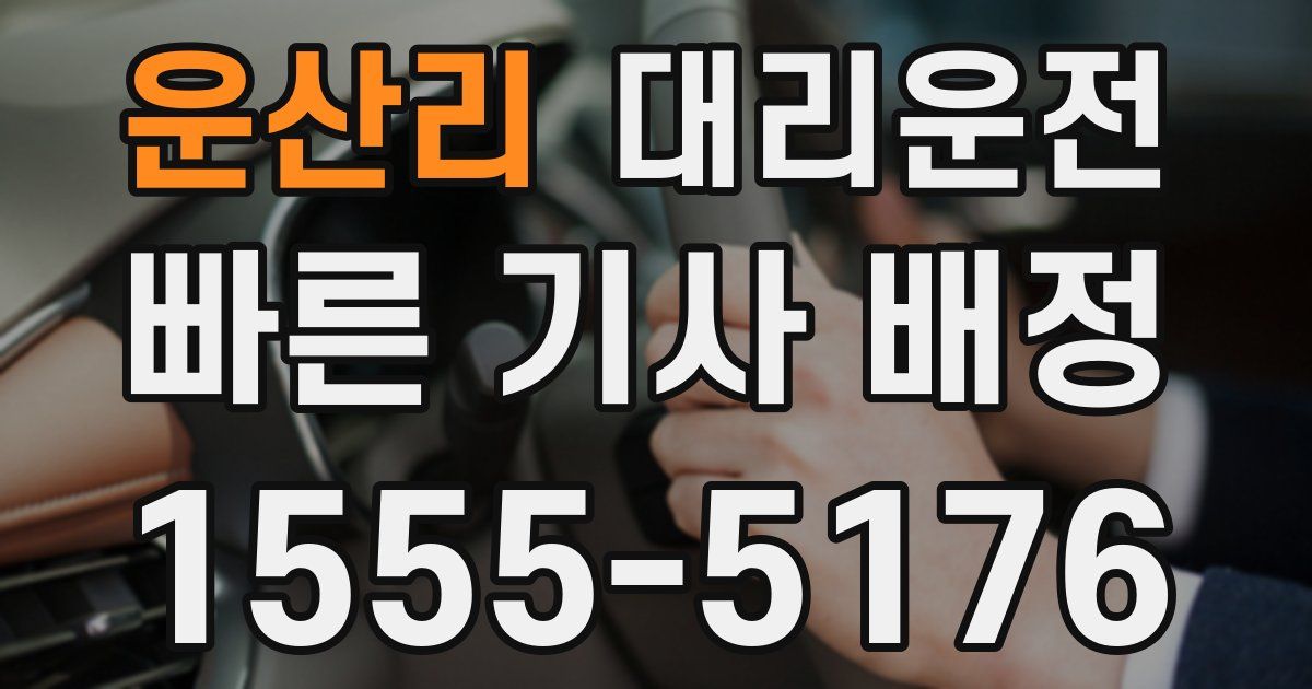 일일대리기사
