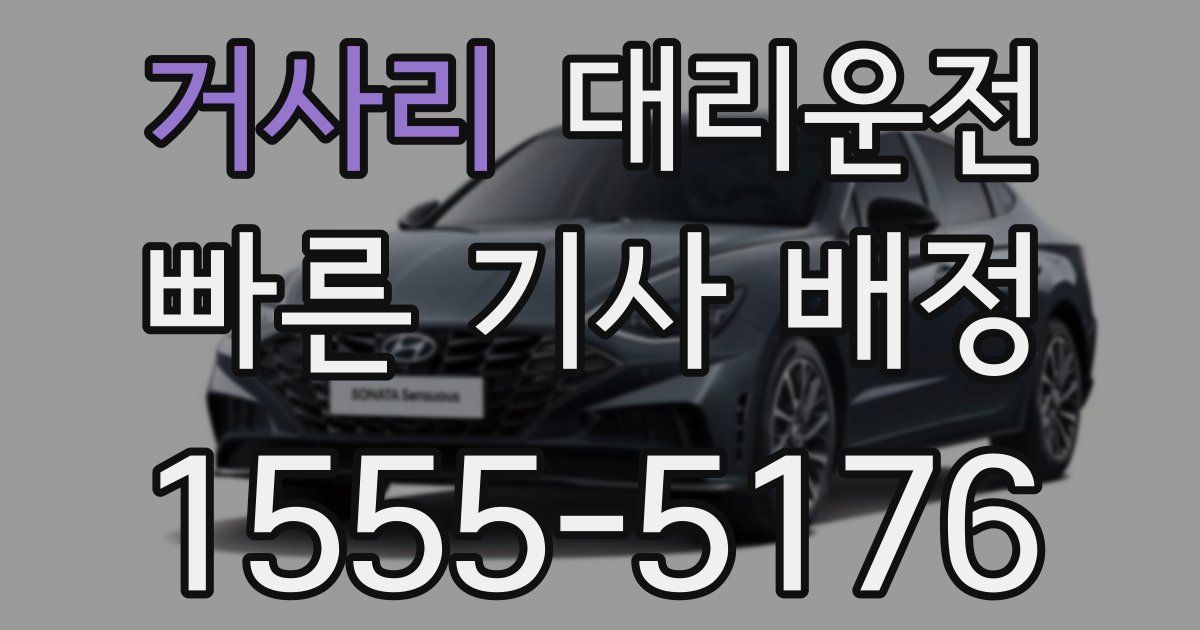 일일대리기사