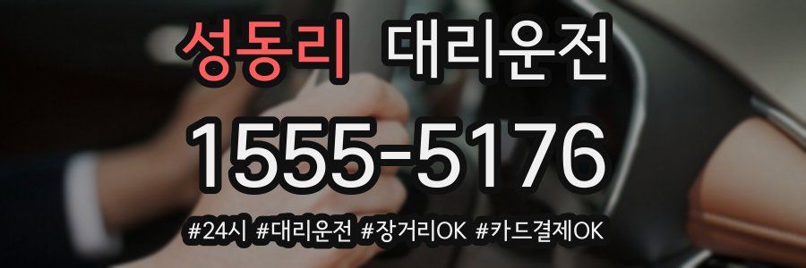 성동리 대리운전