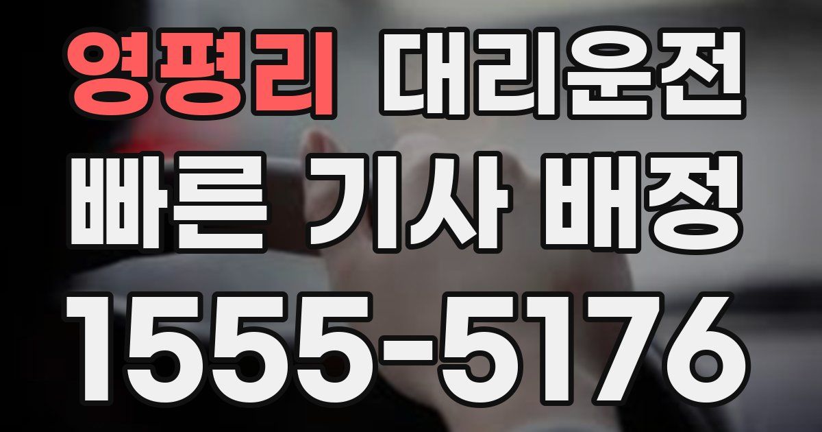 일일대리기사
