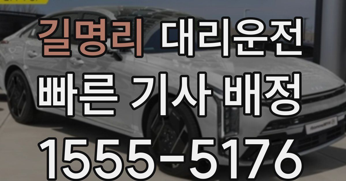 일일대리기사