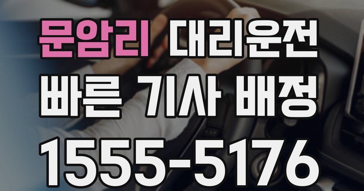 일일대리기사