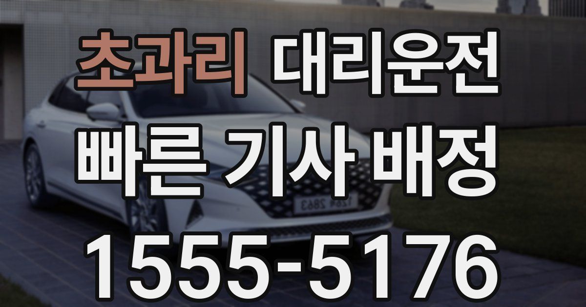일일대리기사