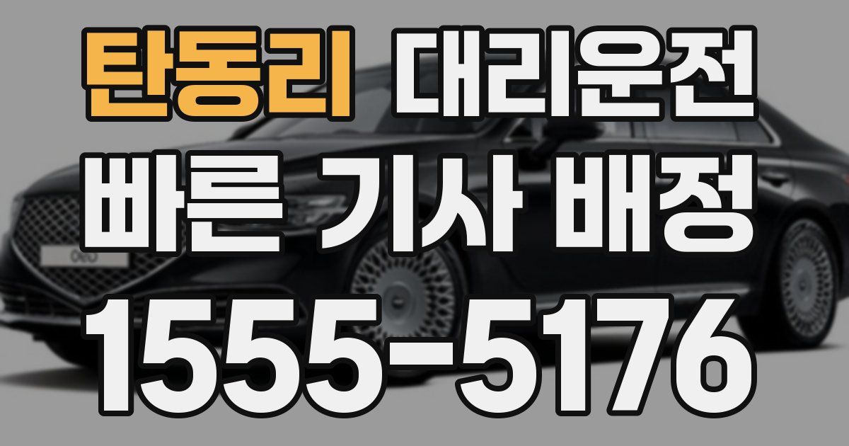 일일대리기사