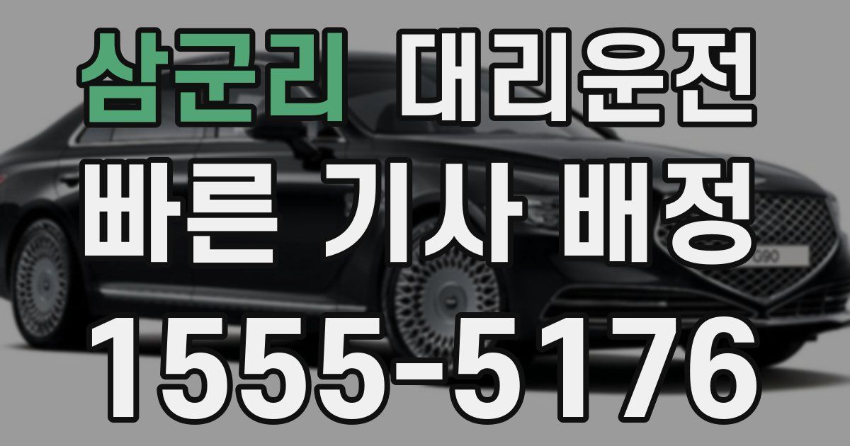 일일대리기사