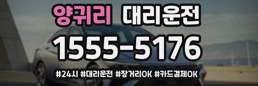 양귀리 대리운전