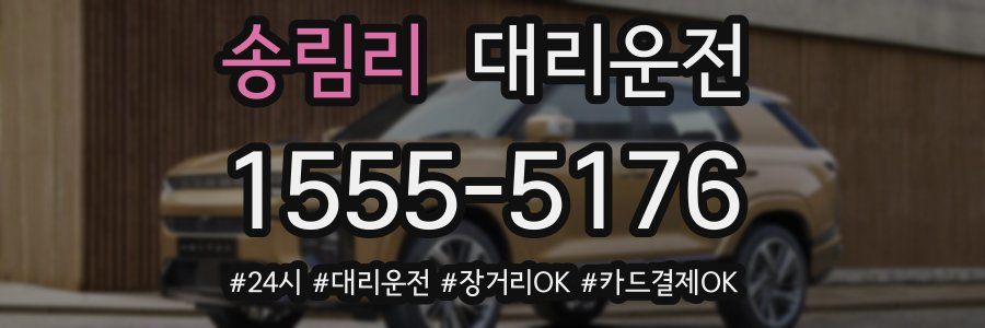 송림리 대리운전