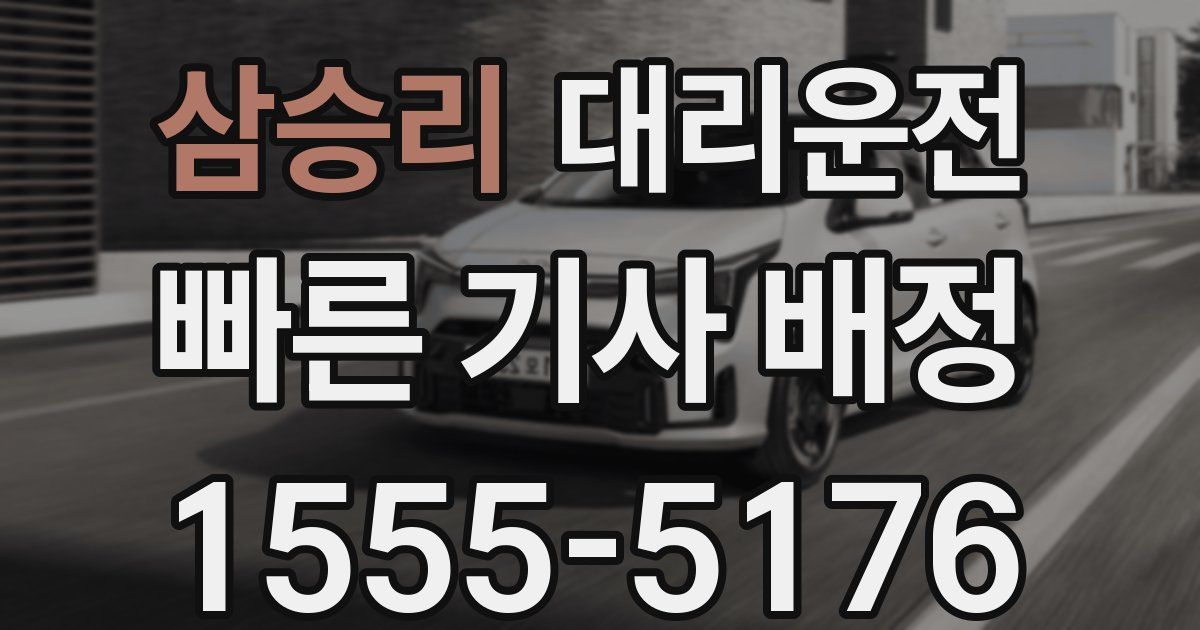 일일대리기사