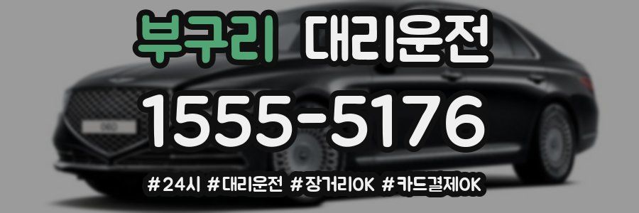 부구리 대리운전