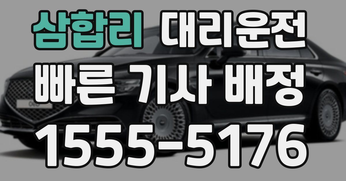 일일대리기사