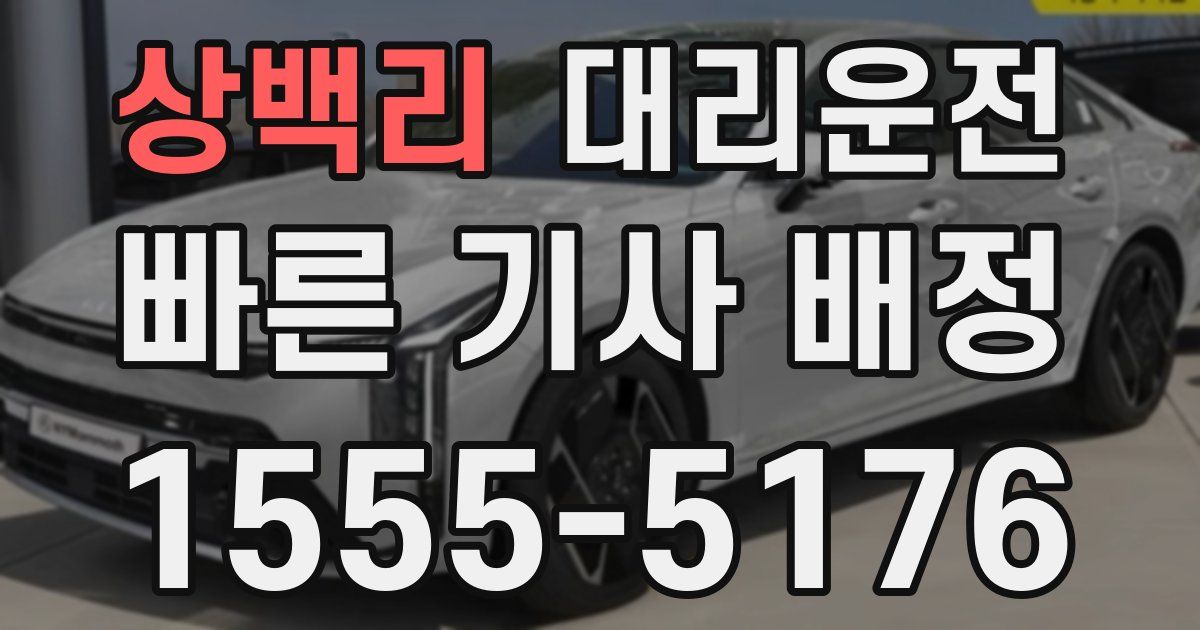 일일대리기사