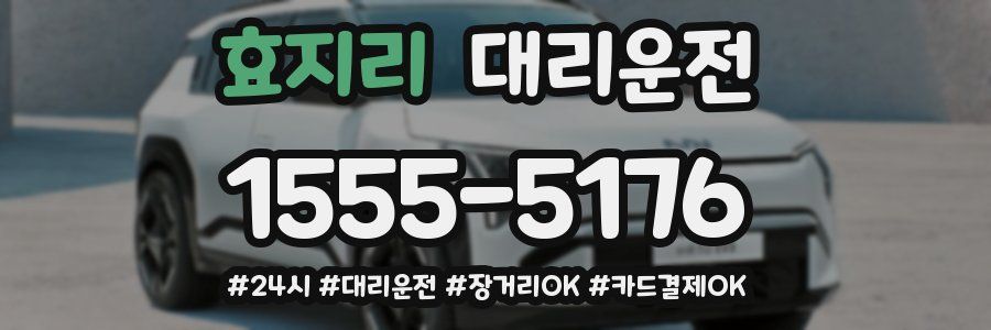 효지리 대리운전