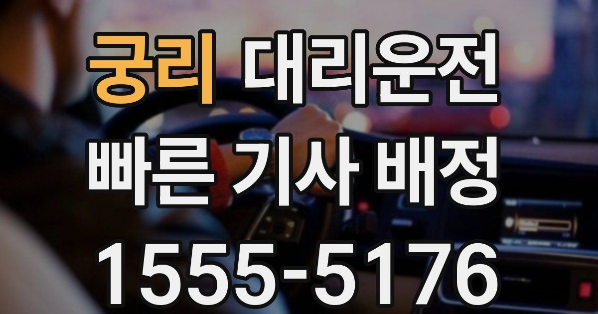 일일대리기사