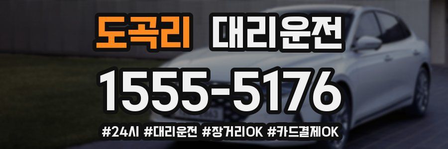 도곡리 대리운전