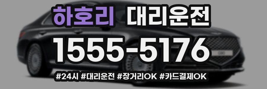 하호리 대리운전