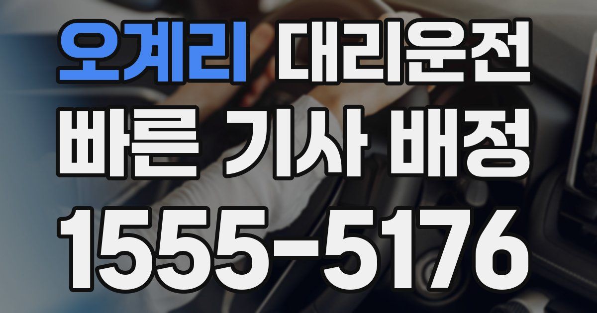 일일대리기사