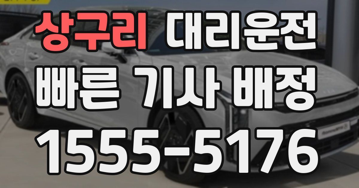 일일대리기사