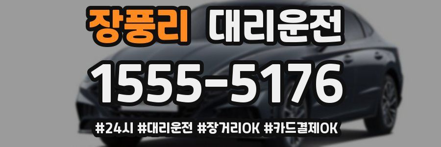 장풍리 대리운전