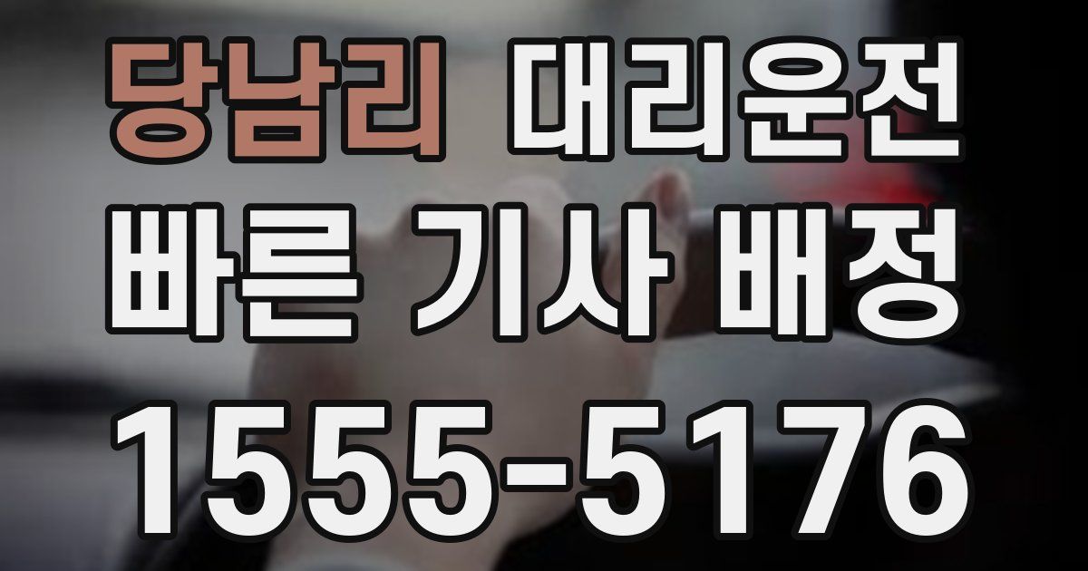 일일대리기사