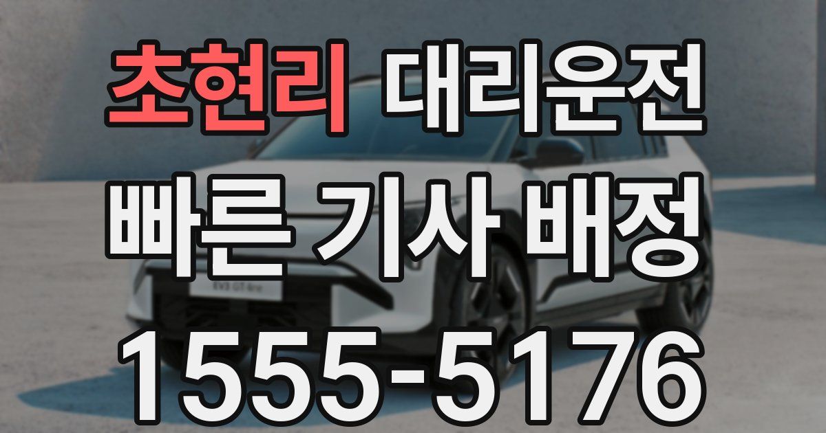 일일대리기사