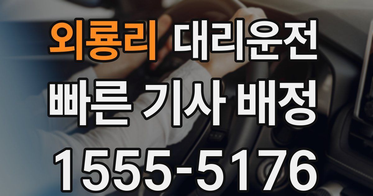 일일대리기사