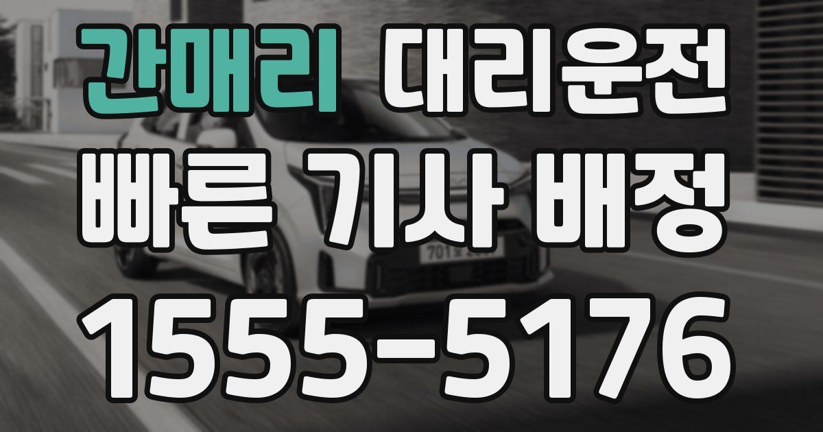 일일대리기사