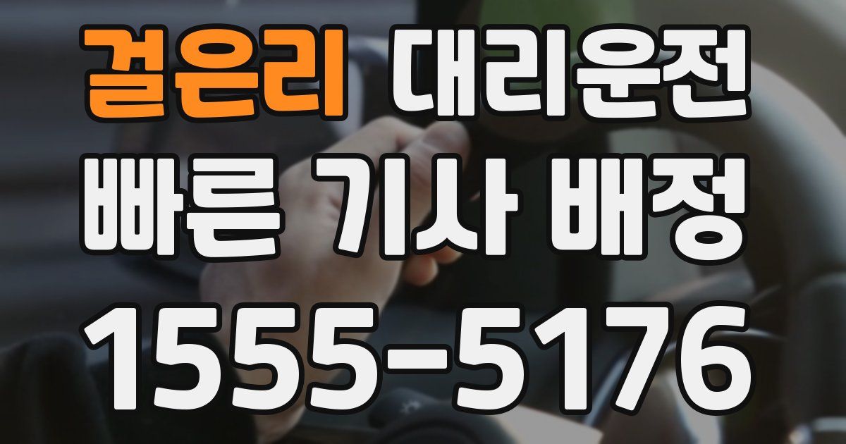 일일대리기사