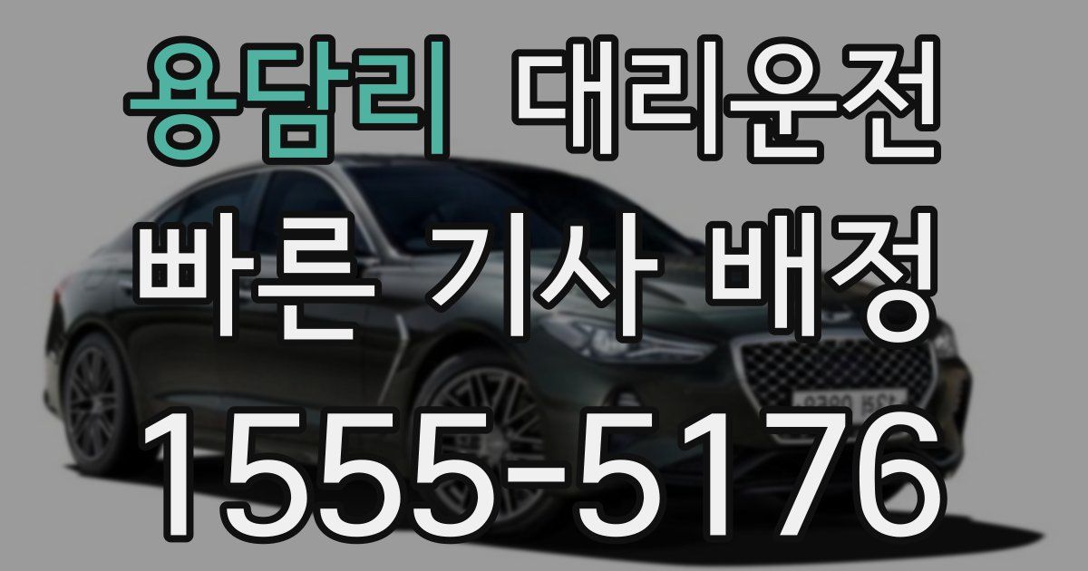 일일대리기사
