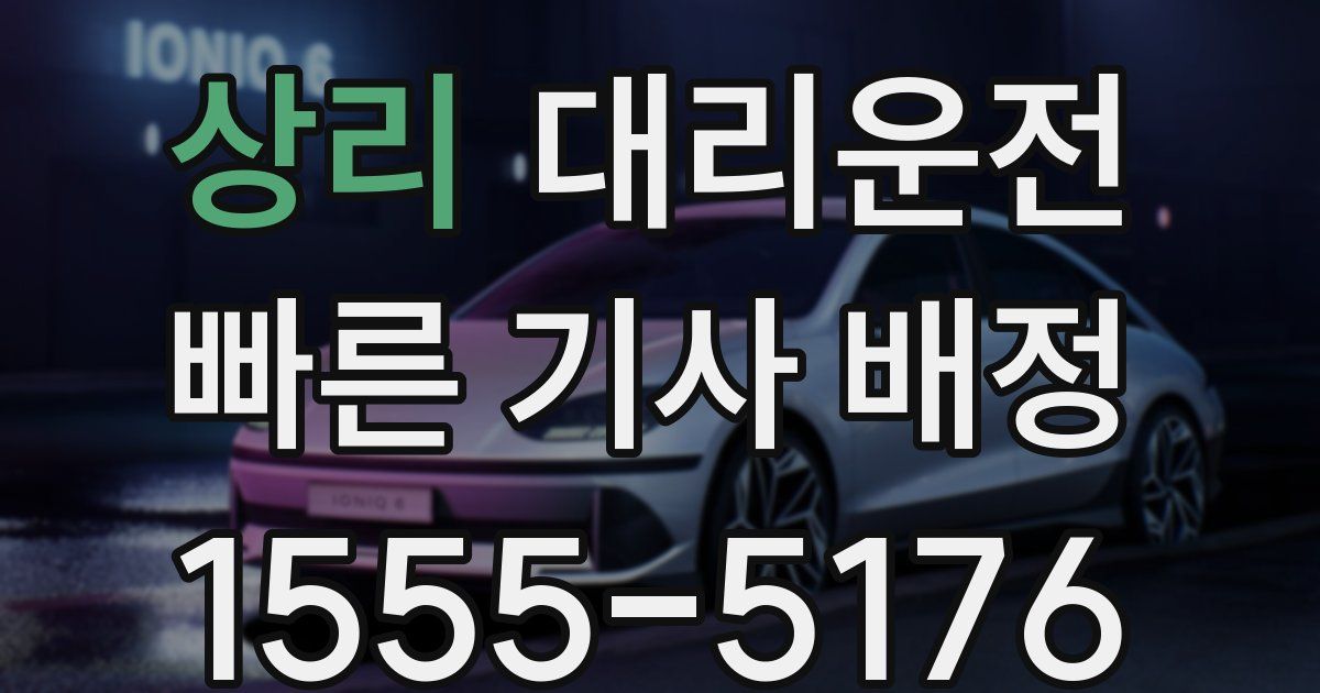 일일대리기사