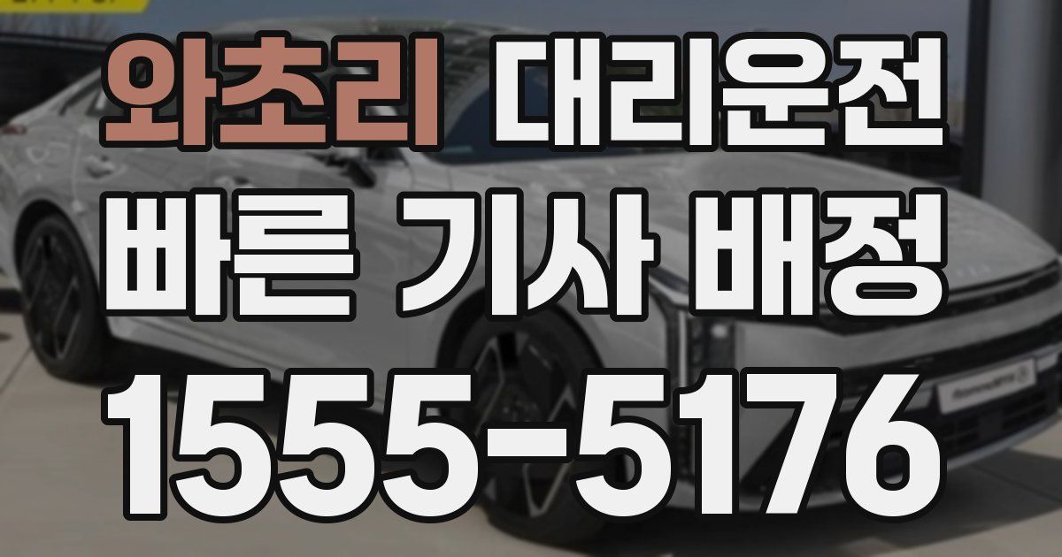일일대리기사
