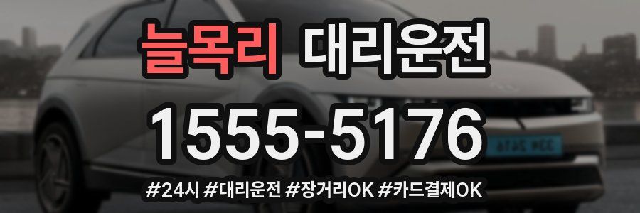 늘목리 대리운전