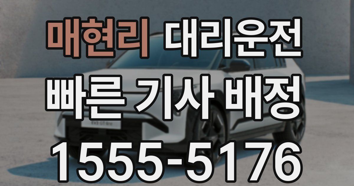 일일대리기사