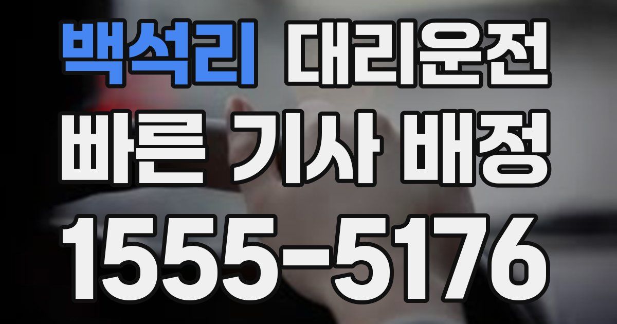 일일대리기사