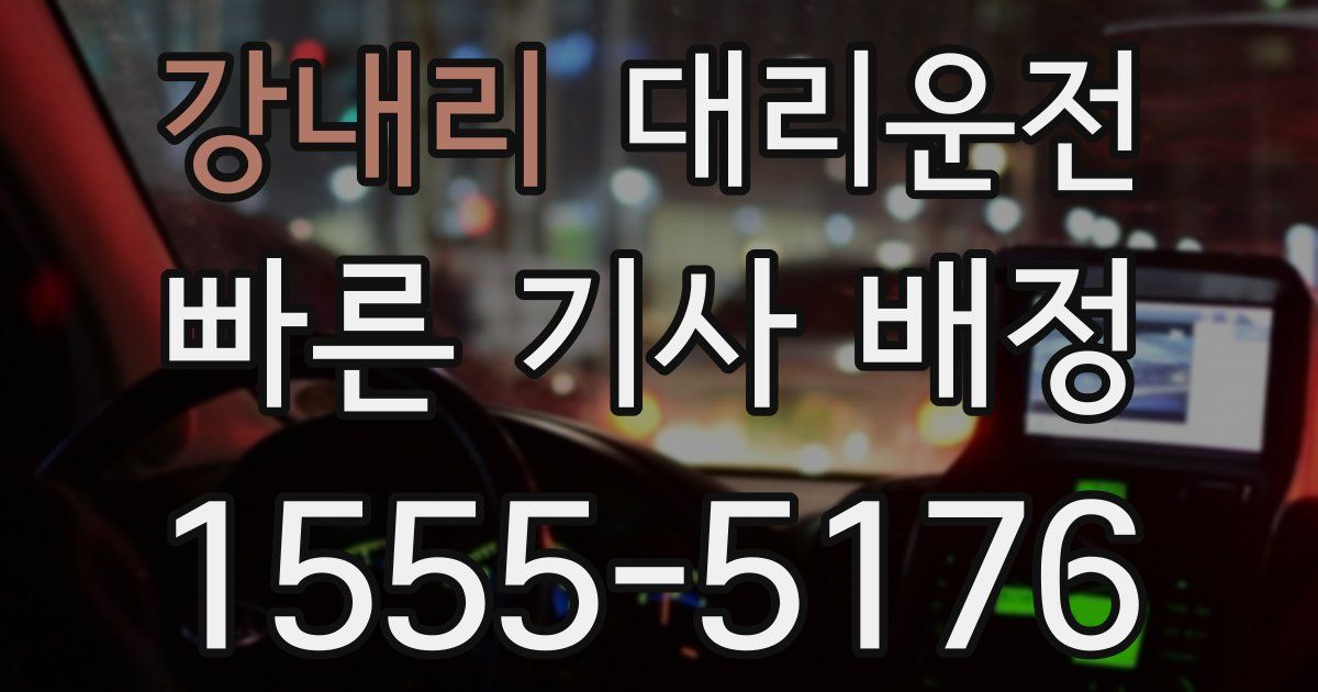 일일대리기사