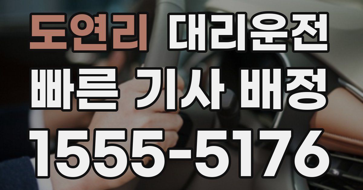 일일대리기사