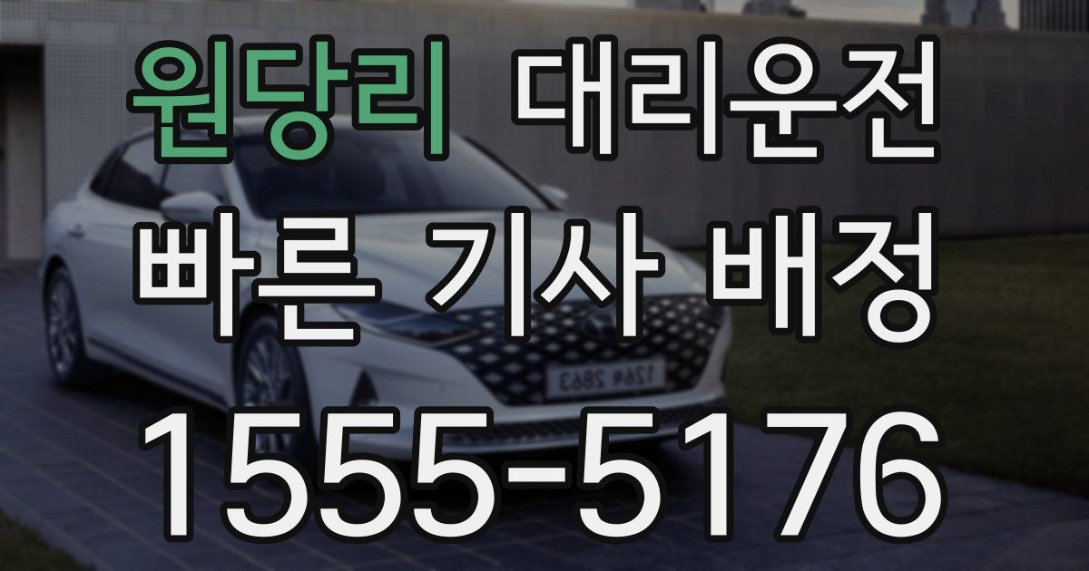 일일대리기사
