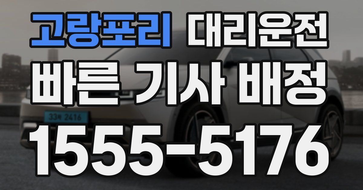 일일대리기사