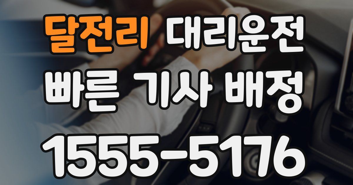 일일대리기사