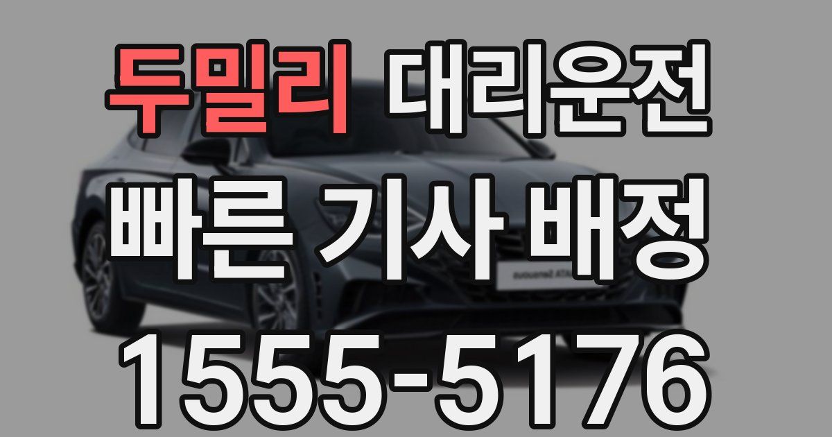 일일대리기사