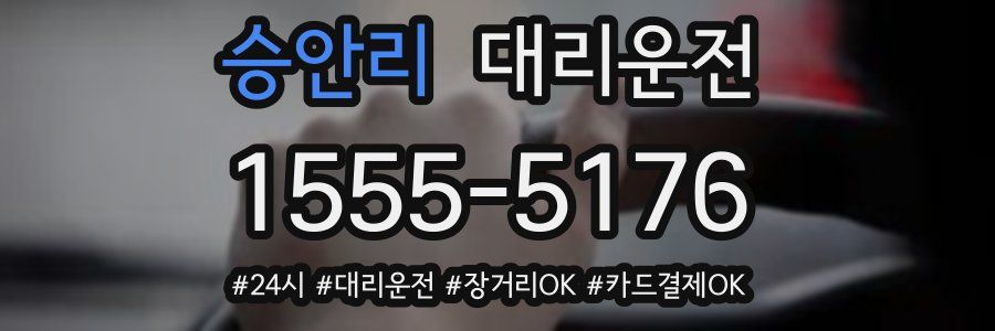 승안리 대리운전