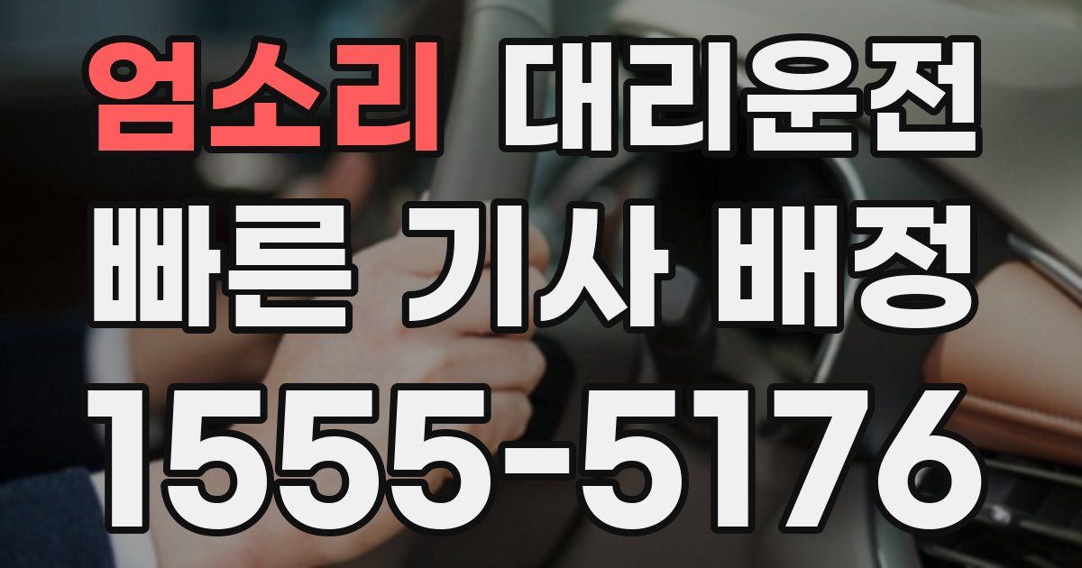일일대리기사
