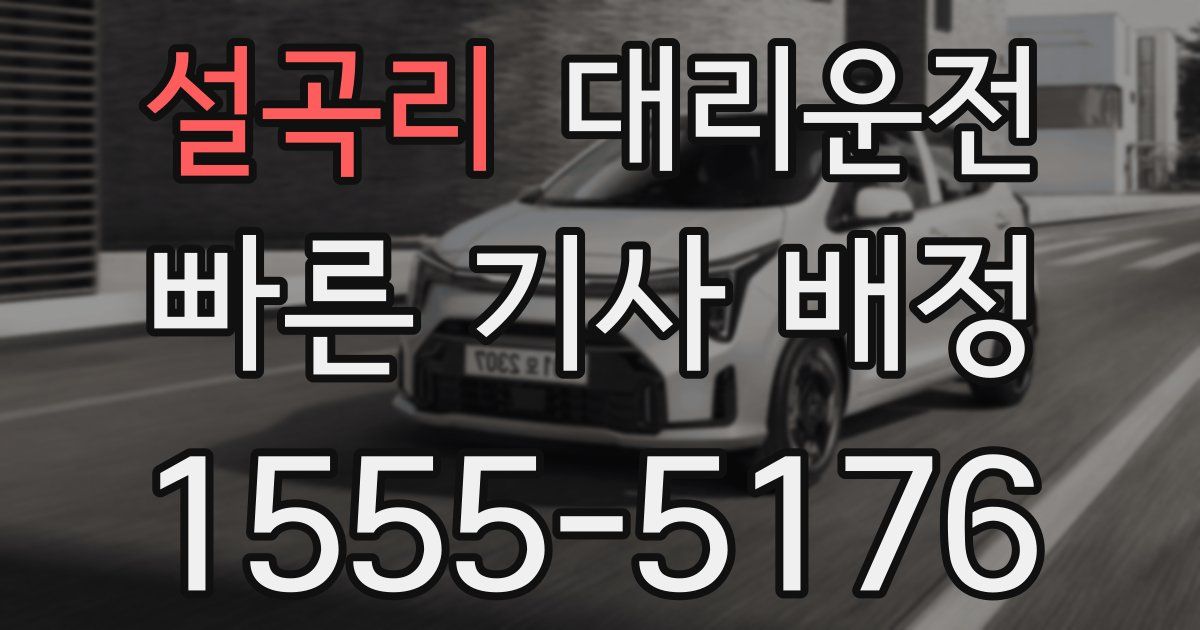 일일대리기사