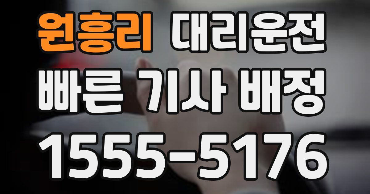 일일대리기사