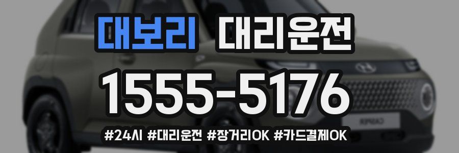 대보리 대리운전