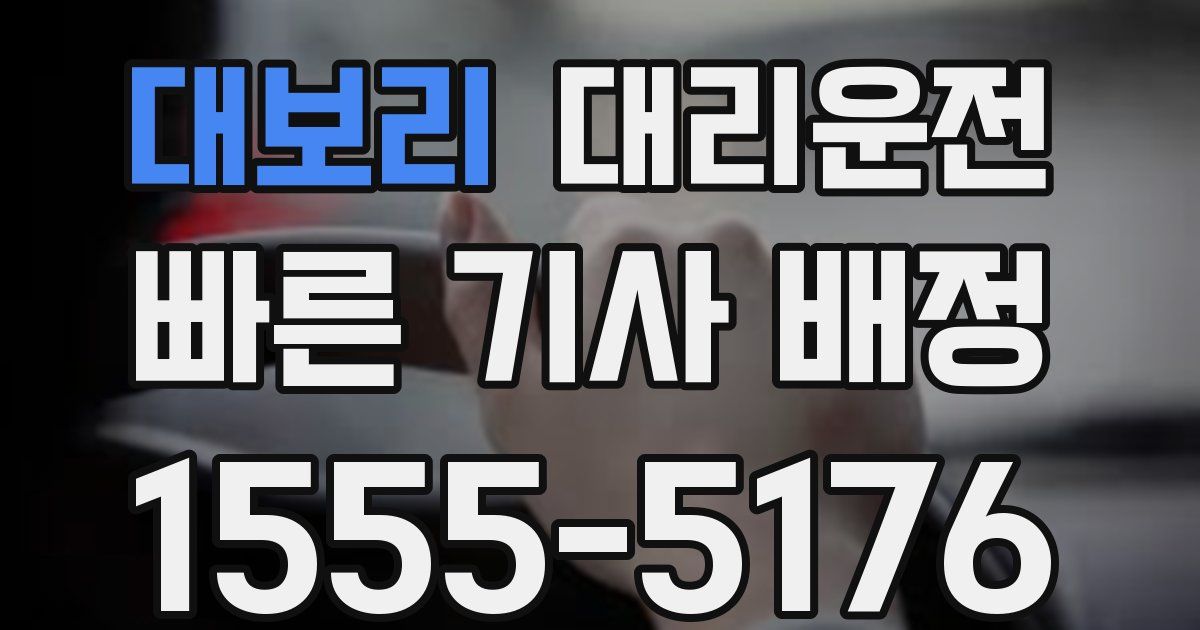 일일대리기사