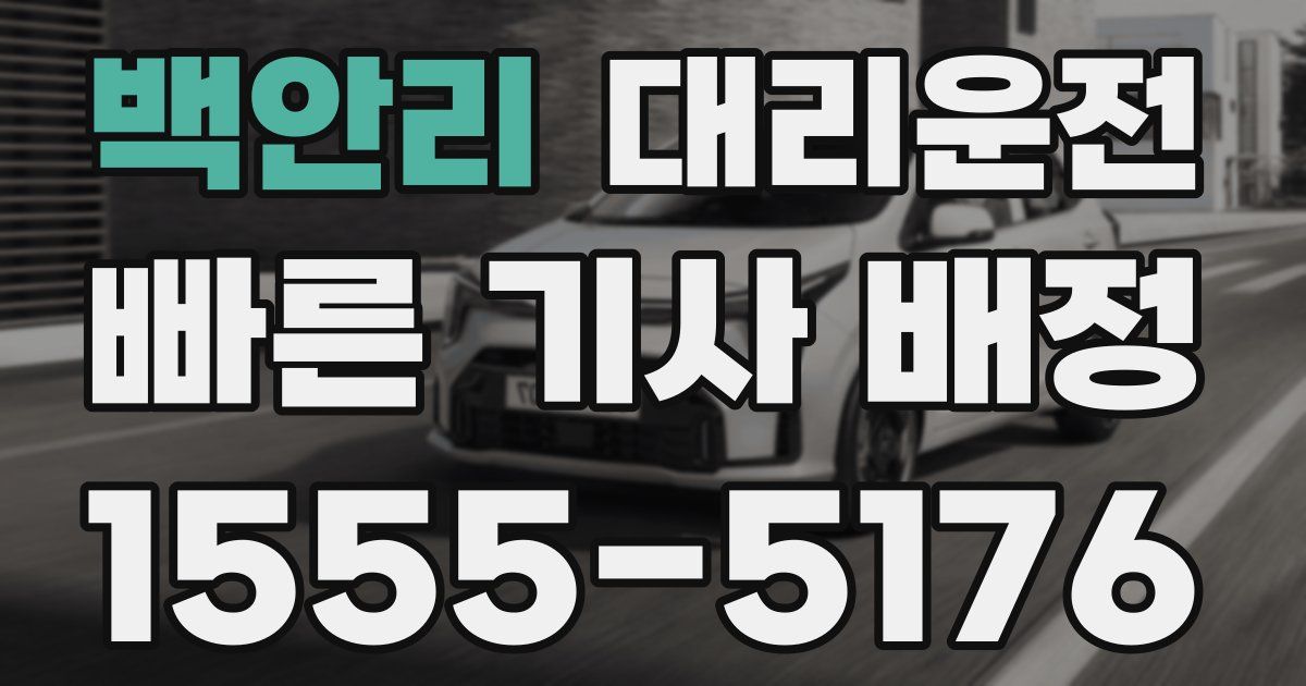 일일대리기사