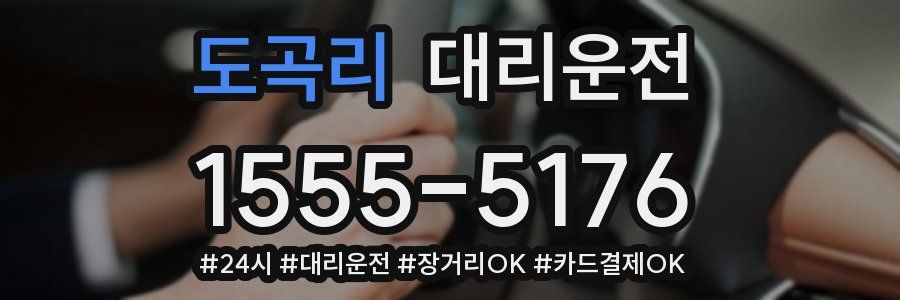 도곡리 대리운전