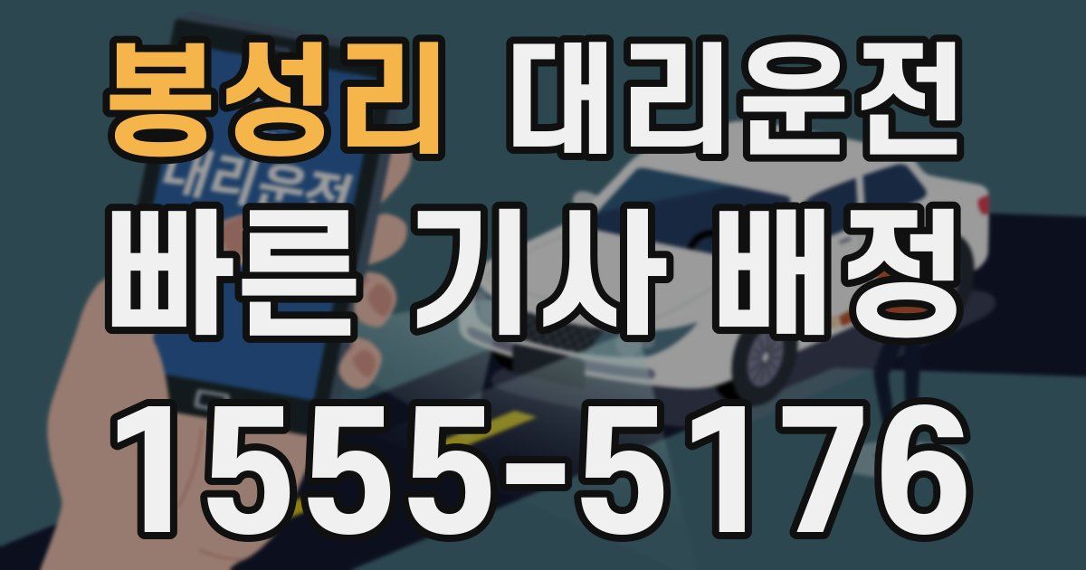 일일대리기사