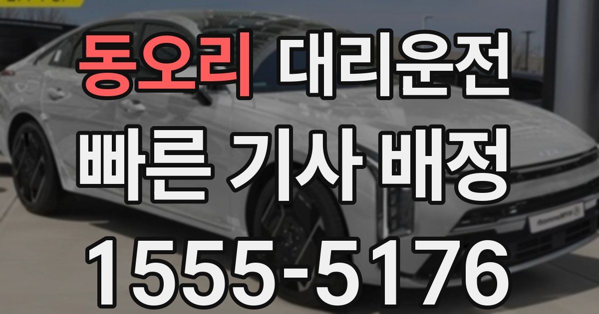 일일대리기사